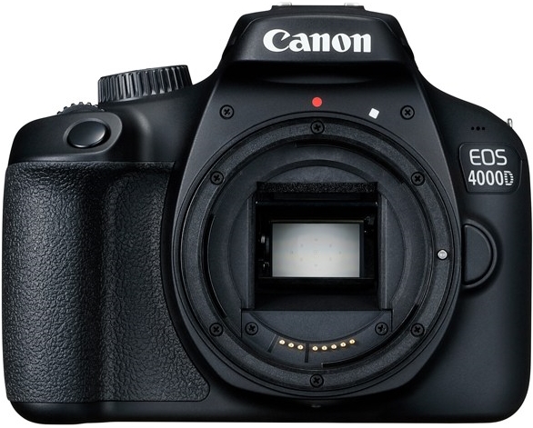 Ремонт Canon EOS 4000D body в Москве