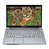 Ремонт Packard Bell easynote lx86 в Москве