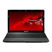 Ремонт Packard Bell EasyNote TS11 в Москве