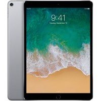 Прошивка с восстановлением bootloader для Apple iPad Pro 10.5 2017 в Москве