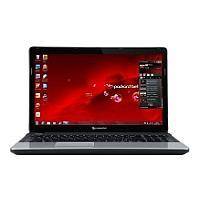 Ремонт Packard Bell easynote te11 amd в Москве