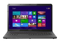 Ремонт Sony VAIO SVE1713Y1R в Москве