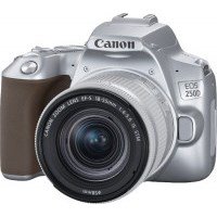 Прошивка для Canon EOS 250D в Москве