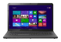 Ремонт Sony VAIO SVE1713X9R в Москве