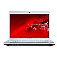Ремонт Packard Bell EasyNote LM94 в Москве