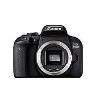 Ремонт Canon EOS 800D Body в Москве