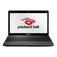 Ремонт Packard Bell easynote f4211 intel в Москве