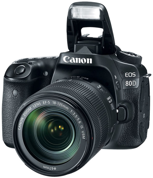 Полная диагностика для Canon EOS 80D kit 18-200 в Москве