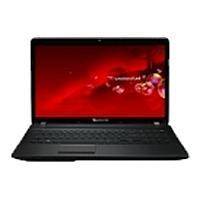 Ремонт Packard Bell easynote f4311 в Москве